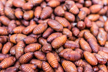 cocoons for sale, China