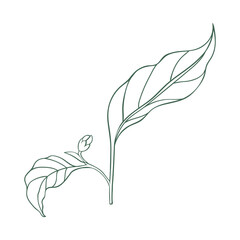 Simple linear icon of chili pepper leaves