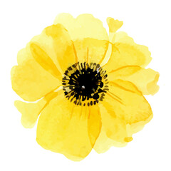 Cute Painted Watercolor Flower