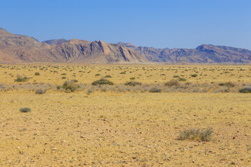 African savannah during a hot day. Namibia.