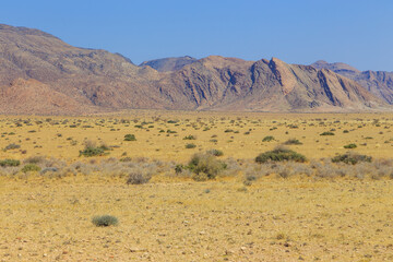 African savannah during a hot day. Namibia.