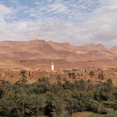 Fototapeta na wymiar View of a Tafilalet Oasis and the town of Erfoud, Morocco