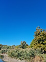 Fototapeta na wymiar Autumn landscape by the lake with clear sky 
