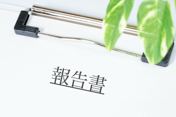 報告書