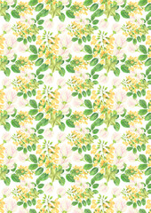 Fototapeta na wymiar A4 Wallpaper Philippine flora Narra Barringtonia asiatica flowers pattern