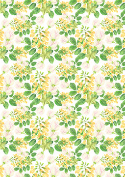 A4 Wallpaper Philippine flora Narra Barringtonia asiatica flowers pattern