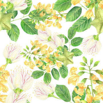 Seamless Philippine flora Narra Barringtonia asiatica flowers pattern tile