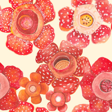 Seamless Philippine flora Rafflesia pattern tile