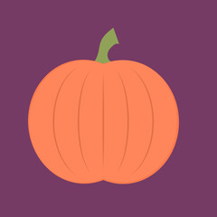 illustration of a pumpkin