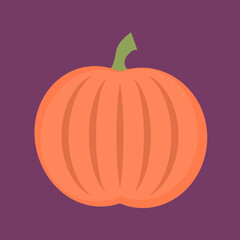 vector illustration of a pumpkin
