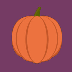 vector illustration of a pumpkin