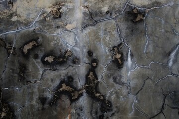 cracked and mossy wall background, polished gray concrete grunge textured wall, rough wall texture background, damaged dirty mossy wall surface