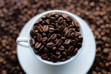 Coffee time