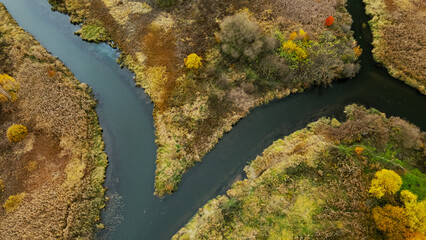 Autumn city park. A meandering river flows between the trees. Trees with colorful leaves. Autumn landscape. Aerial photography.