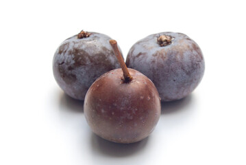 reife Früchte des Speierlings