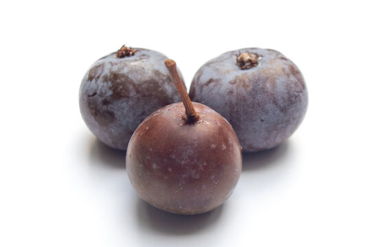 reife Fr&uuml;chte des Speierlings