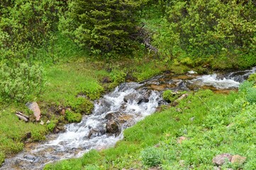 Mountain Stream through a Mountain pasture