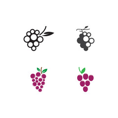 Grapes vector icon illustration design