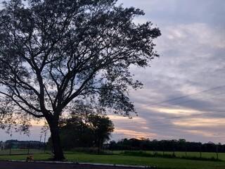 Obraz premium sunset in the park