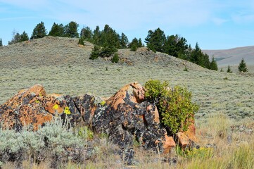 Rocky Landscape in Summer