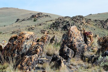 Rocky Montana Mountain View