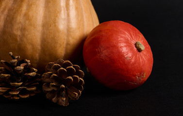 Still life. Close-up of various bright orange pumpkins and pine cones, isolated over black...