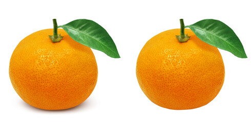 みかん 果物 イラスト リアル