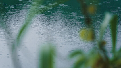 rain drops on the window
