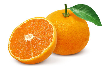 みかん 果物 イラスト リアル