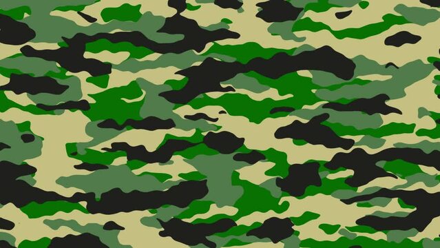 Animated Camouflage Texture - Green Version 
4K, 60FPS, 30 sec