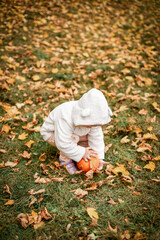 a little girl in a white sweater is holding a pumpkin