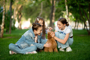 Three cute girls on a walk with a dog toy poodle.