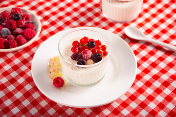 Fresh homemade yogurt with various berries on red checkered tablecloth. Healthy breakfast concept.