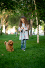 A cute little girl on a walk with toy poodle dog. It's spring outside. The girl is dressed in a blue cloak in a flower and jeans. She has long wavy hair. Childhood. Stroll.