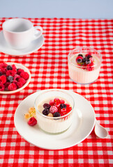 Fresh homemade yogurt with various berries on red checkered tablecloth. Healthy breakfast concept.