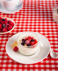 Fresh homemade yogurt with various berries on red checkered tablecloth. Healthy breakfast concept.