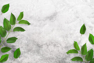 Tree branches with green leaves on a light gray concrete table. Old white and gray concrete background. Advertising board, poster mockup for your design. Flat lay, close up, top view, copy space - Powered by Adobe