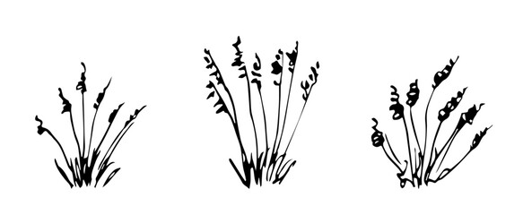 Simple vector black outline drawing. Desert steppe plants, feather grass, bushes, pampas bunches. Nature, prairie landscape. Herbal elements set. - obrazy, fototapety, plakaty