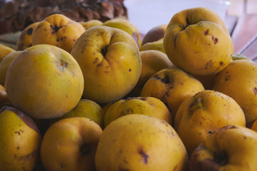 Heap of ripe quince fruits (cydonia oblonga) collected in autumn to prepare quince jelly.