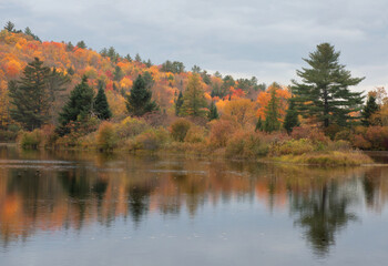 Tranquil autumn scene in White Mountain region of New Hampshire. Reflection of colorful fall foliage on calm surface of Coffin Pond reservoir.