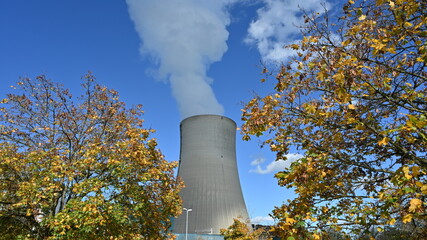Cooling tower of a nuclear power plant. There is vapor rising out of it. It is surrounded by trees...