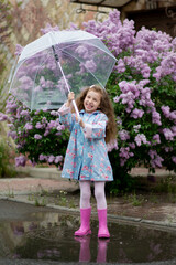 A sweet girl of five years with a transparent umbrella against the background of blooming lilacs...