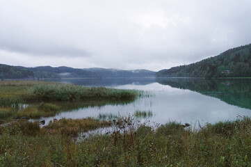 lake in fog in forest in the evening