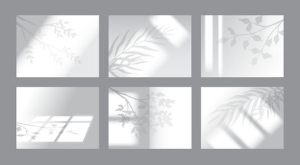 Window and plant shadow set, light leaf and branches. Wall mockup, palm leaves shade, organic white sunshine overlay effect. Summer gray botanical sunlight. Vector geometric backgrounds