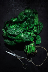 A bunch of spinach on a black background. Healthy food