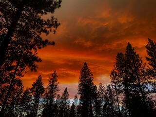 Oregon wildfire sky 