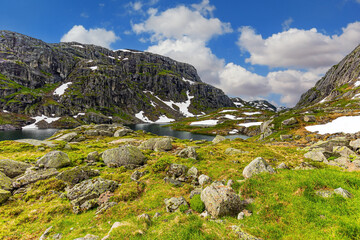 Huge boulders in a meadow