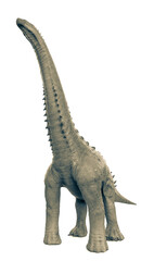 Fototapeta premium alamosaurus in white background