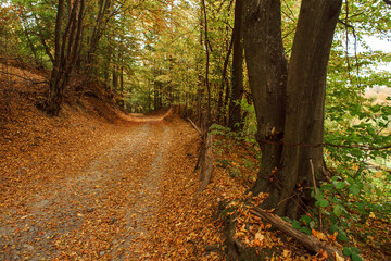 autumn landscape in northeastern Bosnia