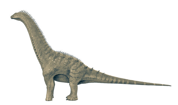 alamosaurus in white background side view
